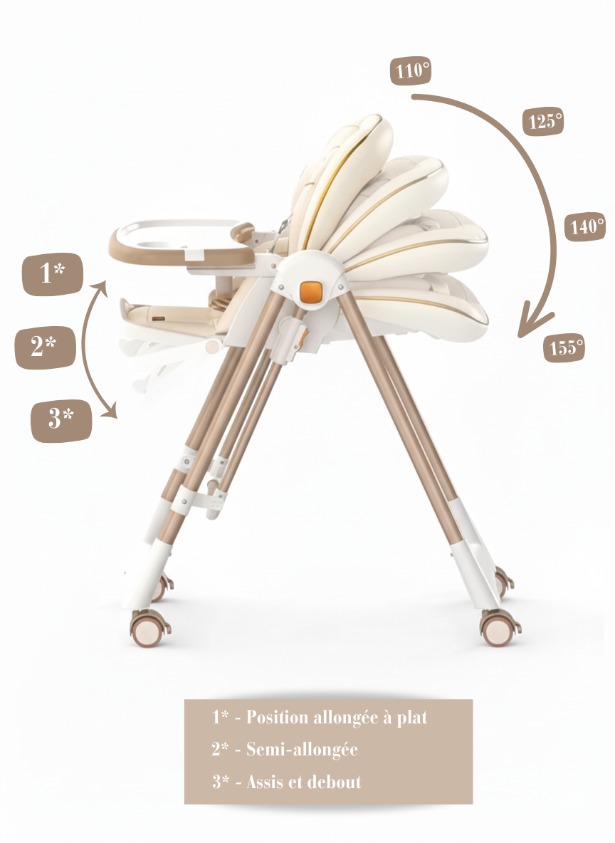 Chaise Haute et Balancelle 2 en 1